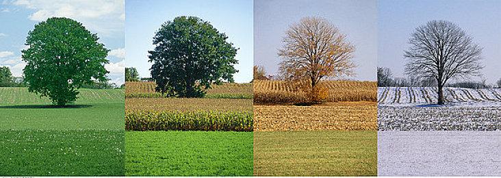 《宝可梦传说：阿尔宙斯》新电视预告 1月28日正式发售