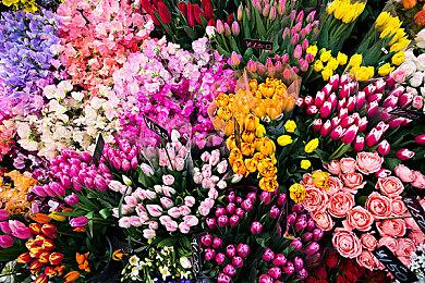 《Sand》Steam测试开启 末世巨大要塞PvPvE射击